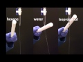 Charged rod vs hexanewaterisopropanol