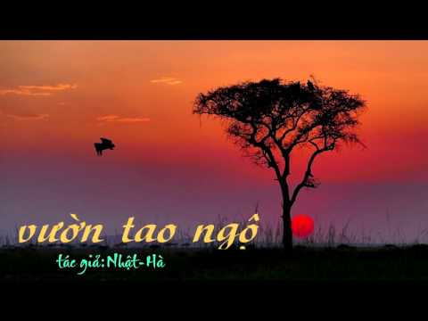 vườn tao ngộ Karaoke ( song ca) Full-HD