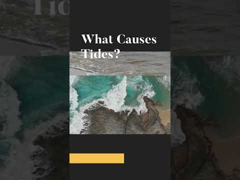 Video: Vai jūrām ir plūdmaiņas?