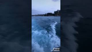 Düşmemi Bekleyen Çakallara İnat,Yürüyüşüme Hasta Olan Aslanlar Var Hala