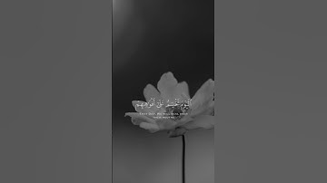 أليوم نختم على افواههم قران كريم #قرآن #اكسبلور #ارحقلبك #capcut #دويتو #راحة_نفسية #قران #duet