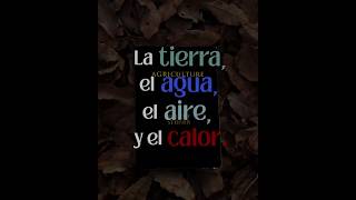 R. Steiner | Conferencia 7-Parte 5