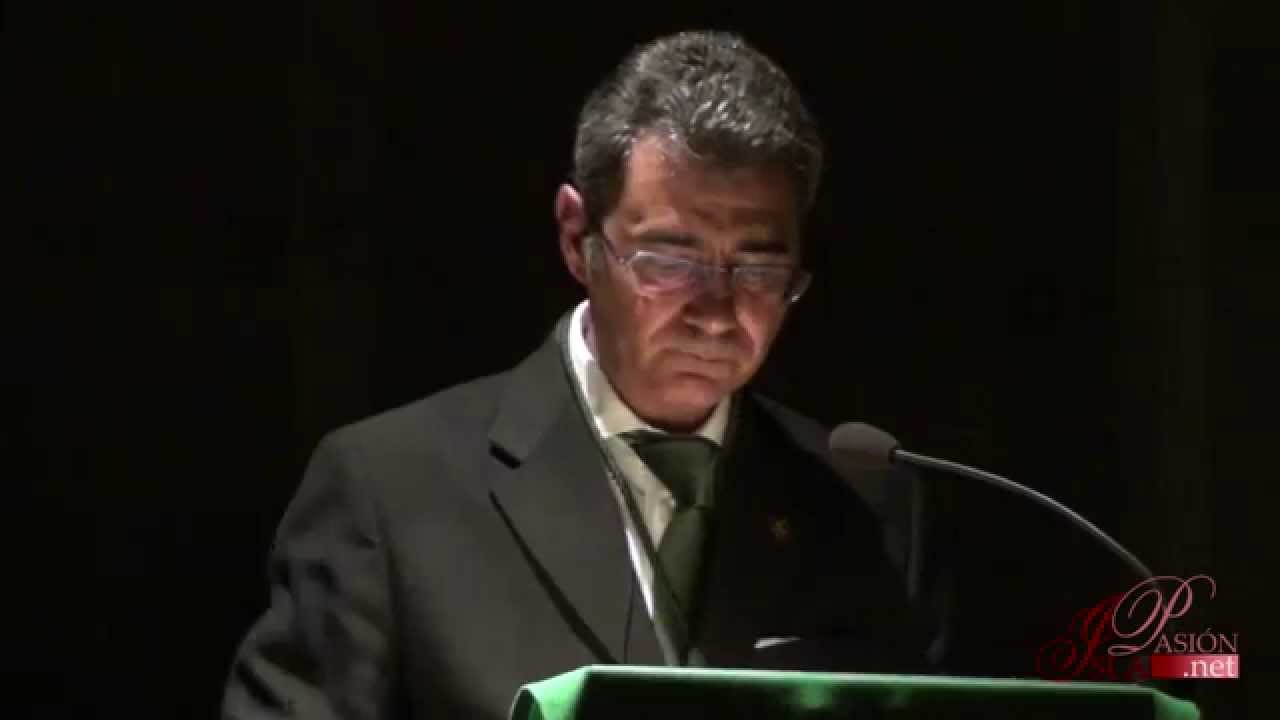 XXXIV Pregón de la Santa Cruz de la Hermandad de la Vera-Cruz - 2015