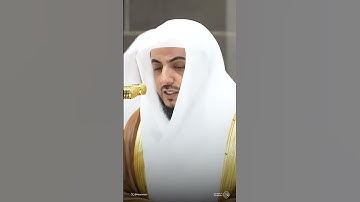 سورة المسد - تلاوة الشيخ #الوليد_الشمسان