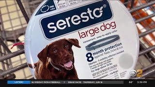 Report links Seresto fleaandtick collar to 2,500 pet deaths