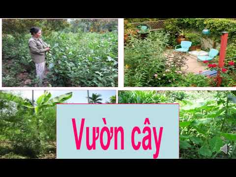 Tuần 1-Khối 5- Tập làm văn_Luyện tập tả cảnh