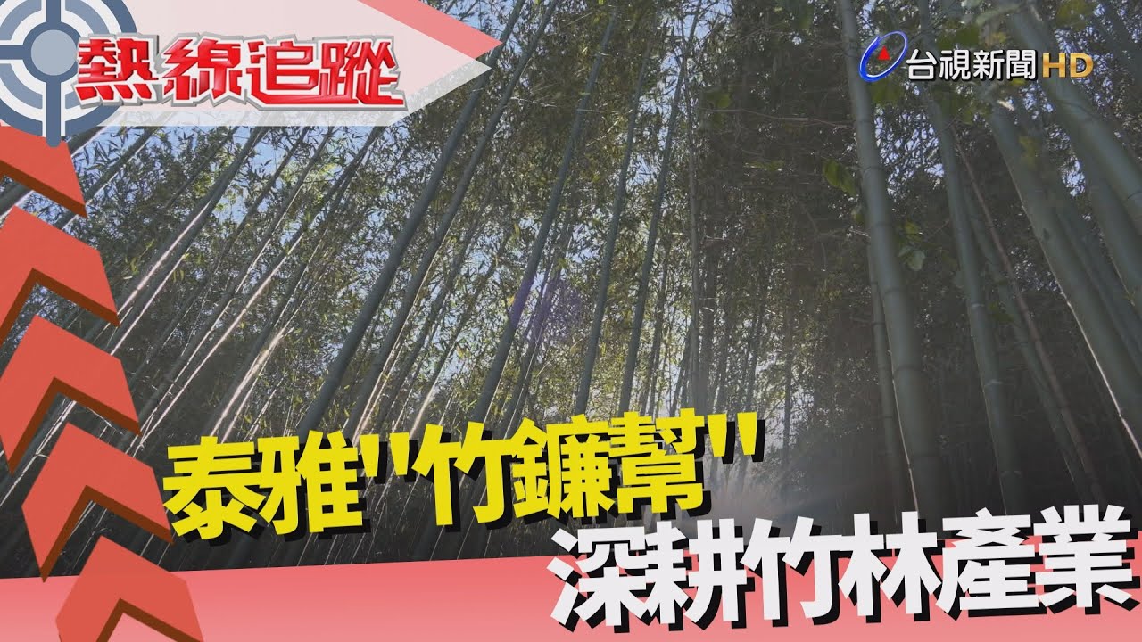 熱線追蹤-泰雅竹鐮幫 深耕竹產業 - YouTube