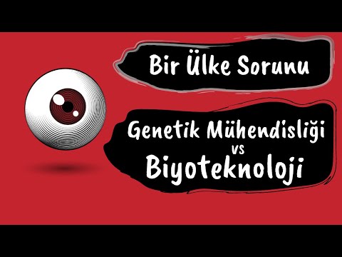 Video: Biyoteknoloji ve genetik mühendisliği arasındaki ilişki nedir?