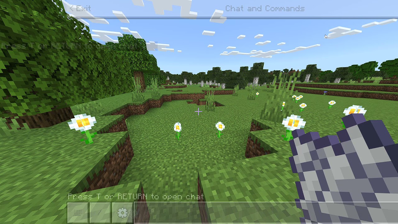 Infinite fern glitch Minecraft Bedrock 1.17!!!