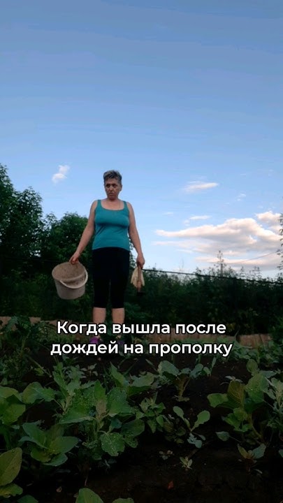 Дачники-огородники меня поймут #юмор #прикол #жиза #видео #ютуб #шортсы ...