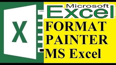 How to use Format Painter in MS Excel 2016/2013/2010/2007 in Hindi lec 32
