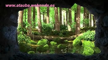 La Sura que abre el Libro  سورة الفاتحة (HD)