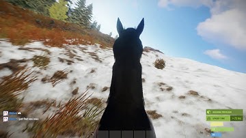 Riding Horse in Rust 06 06 2019