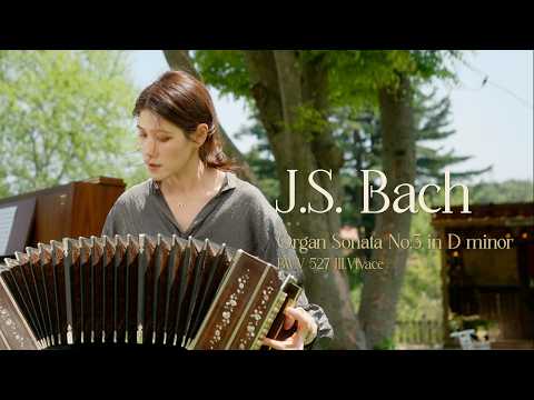 Bach Organ Sonata No.3 in D minor, BWV 527 III.Vivace - Bandoneon thumbnail