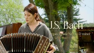 Bach Organ Sonata No.3 In D Minor, Bwv 527 Iii.vivace - Bandoneon