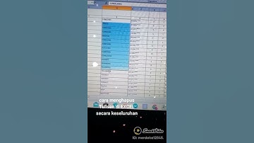 Cara menghapus Tulisan secara keseluruhan di Excel Tanpa Ribut.