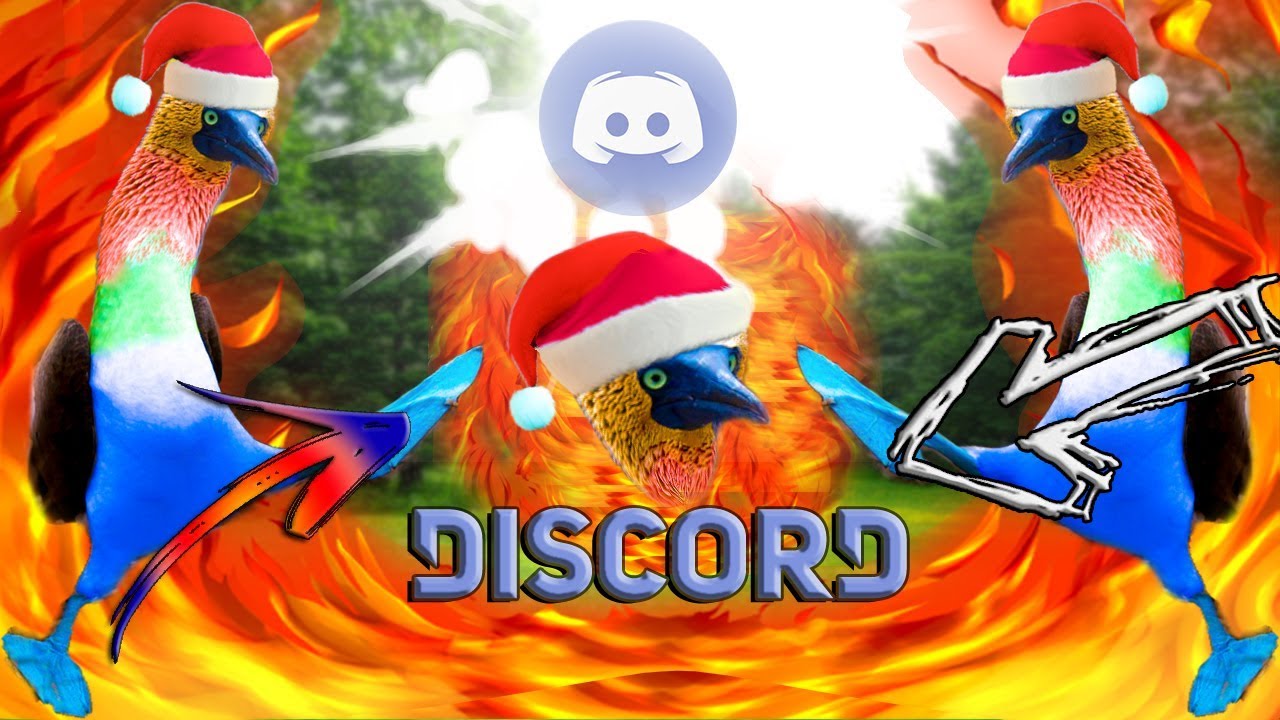 Discord musique YouTube