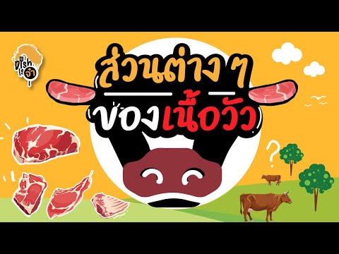 Trick Dish is Jah Ep 3 : ไปทำความรู้จักส่วนต่างๆของเนื้อวัว