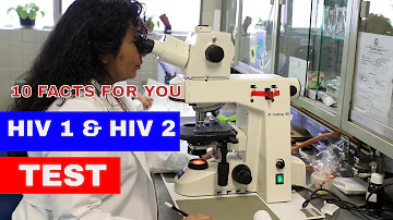 Was bedeutet HIV-1 2 negativ?