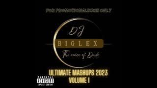 DJ BIG LEX 305 ULTIMATE MASHUPS 2023 BMF PARTY