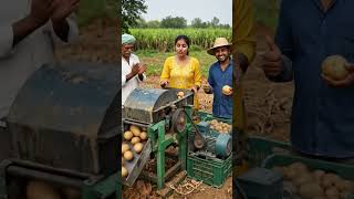 🥔 Potato Cleaning Machine | Fast & Easy Potato Washing Process #aalu #jugad #potato