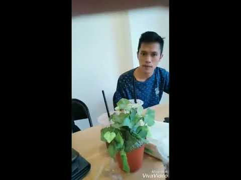 Rahasia hati republik