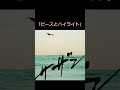 サザンの歌詞クイズ、希望編 #サザンオールスターズ #桑田佳祐 #桑田佳祐メドレー