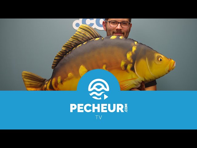 Pêche de la carpe - Carpfishing - L'école de la carpe - Le matériel pour  débuter 