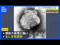 今年の「はしか」感染者数498人 去年の同時期の約4倍に　感染後10日ほどで発熱や発疹の症状　上野厚労大臣「必要に応じワクチン接種の検討を」｜TBS NEWS DIG