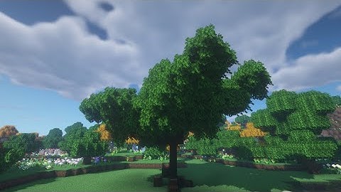 Minecraft : Custom Tree Timelapse