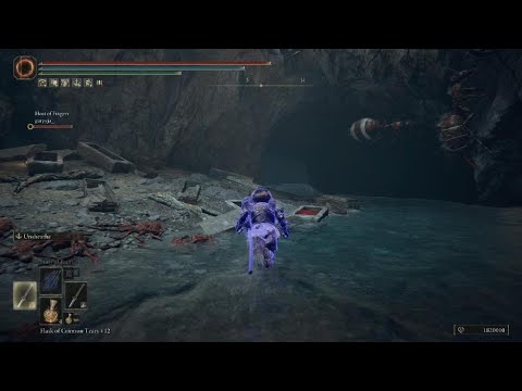 ELDEN RING_Double Panic Button Mash