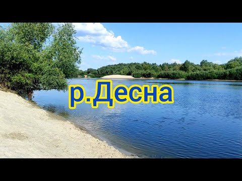 Река Десна лето 2022 ночевка,  природа Украины релакс | nature of Ukraine, relaxing ,camping