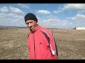 Уничтожение свиней АЧС Белогорский район