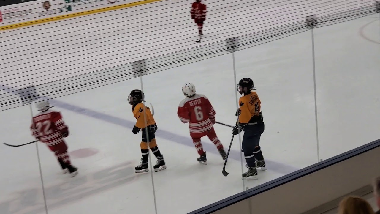 Traverse City North Stars vs Grand Rapids Blades 11U A 12/07/19 YouTube