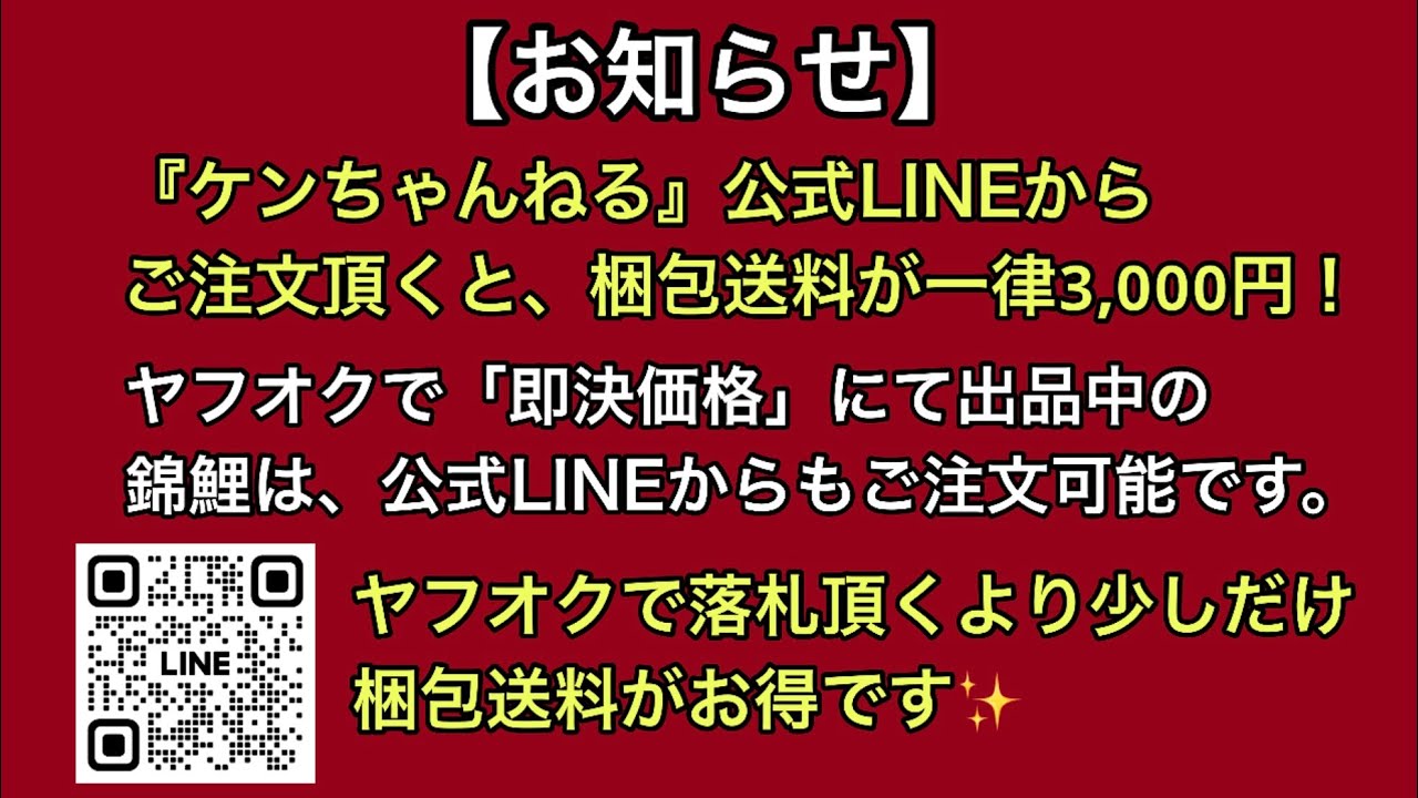 水槽「最終値下げ」即決者優先 全て安めの即決価格で出します！公式LINEからの購入がお得です。 - YouTube