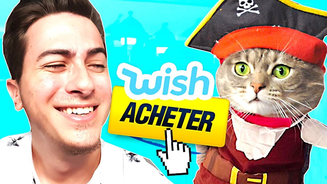 10 OBJETS WISH POUR MON CHAT !