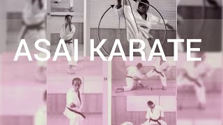 Asai Tetsuhiko karate techniques