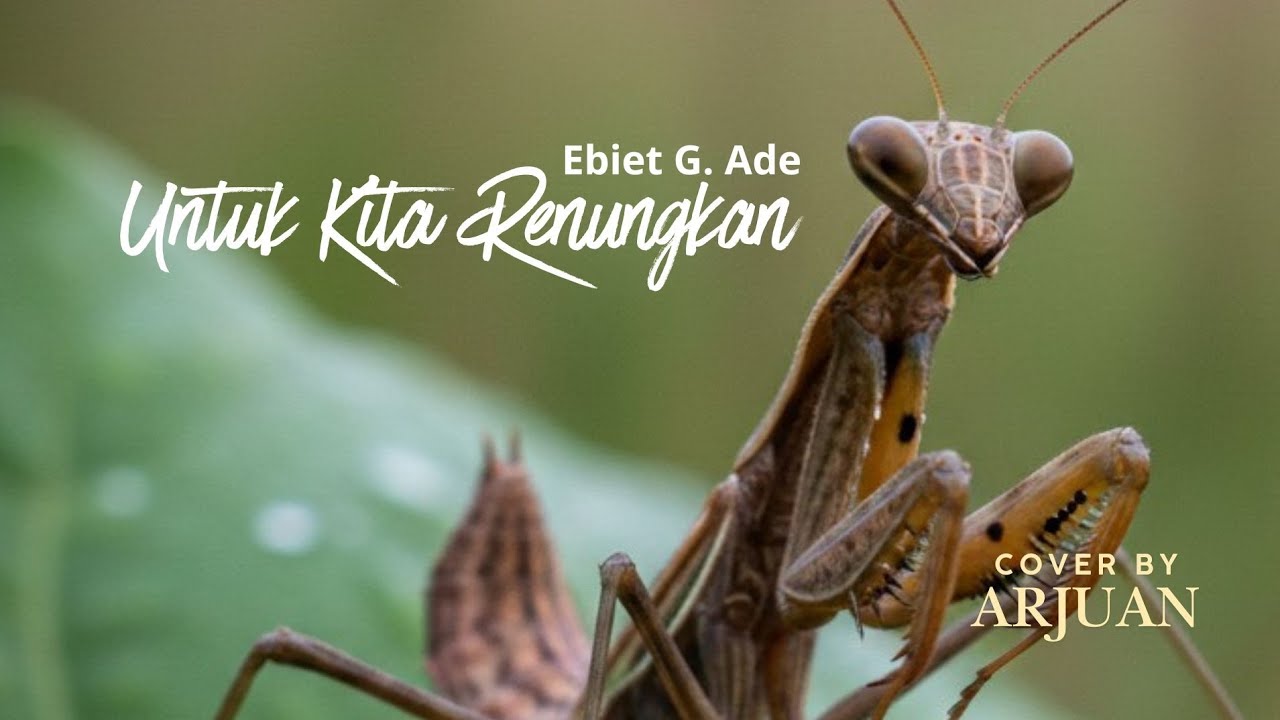 Untuk Kita Renungkan - EBIET G. ADE | Cover by Arjuan