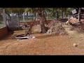 Start Business Chicken S Farm 