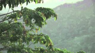 unifeed130911g