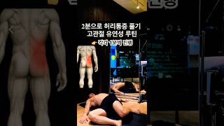 2분으로 허리통증 풀기 | 고관절 유연성 루틴