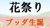 花祭り ウマウアケーニョ Youtube