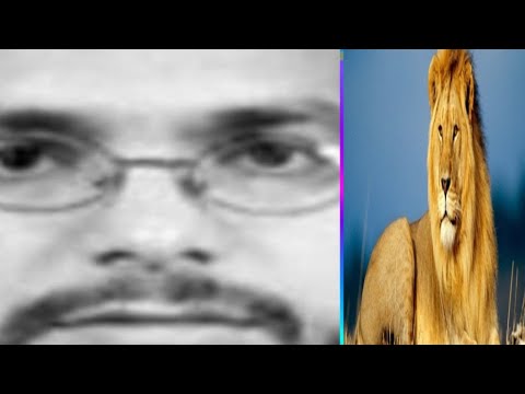 انور غازی کار زار پاکستان سونے کی چڑیا کیسے انور غازی کار زار پاکستان سونے کی چڑیا کیسے