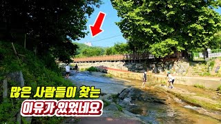 🚉 지하철역에서 1분! 👍전국에서 가장 많은 사람들이 찾는 둘레길/대중교통 당일치기 여행