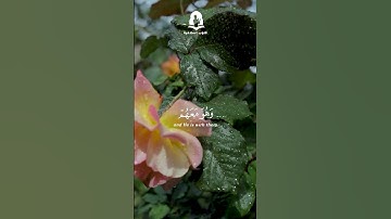 سورة النساء الأية 108 | ماهر المعيقلي