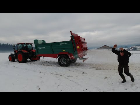 Video: Je li stajski gnoj bolji od pilećeg gnoja?