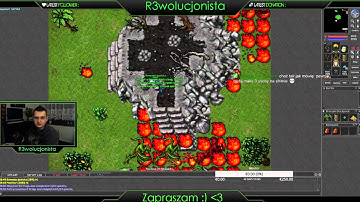 Tibia OTS - Openka.net