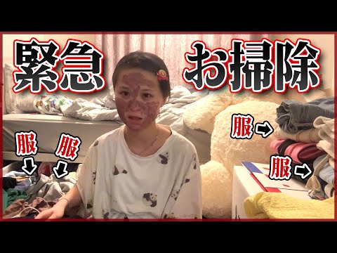 部屋掃除してたら出て来たふなっしー 部屋掃除してたら出て来たふなっしー