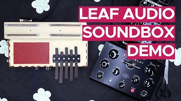 Leaf Audio Soundbox v2 Sound Demo (no talking) with Erica Zen Delay and DBA Rooms