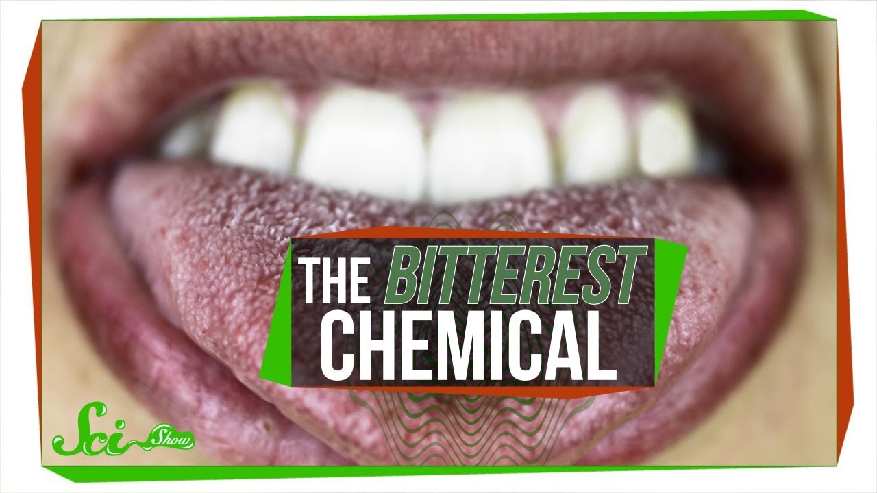 What's the Most Bitter Chemical? YouTube